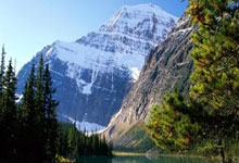 关于塔图姆迎来七赛季高光表现，掘金球迷沸腾！的信息